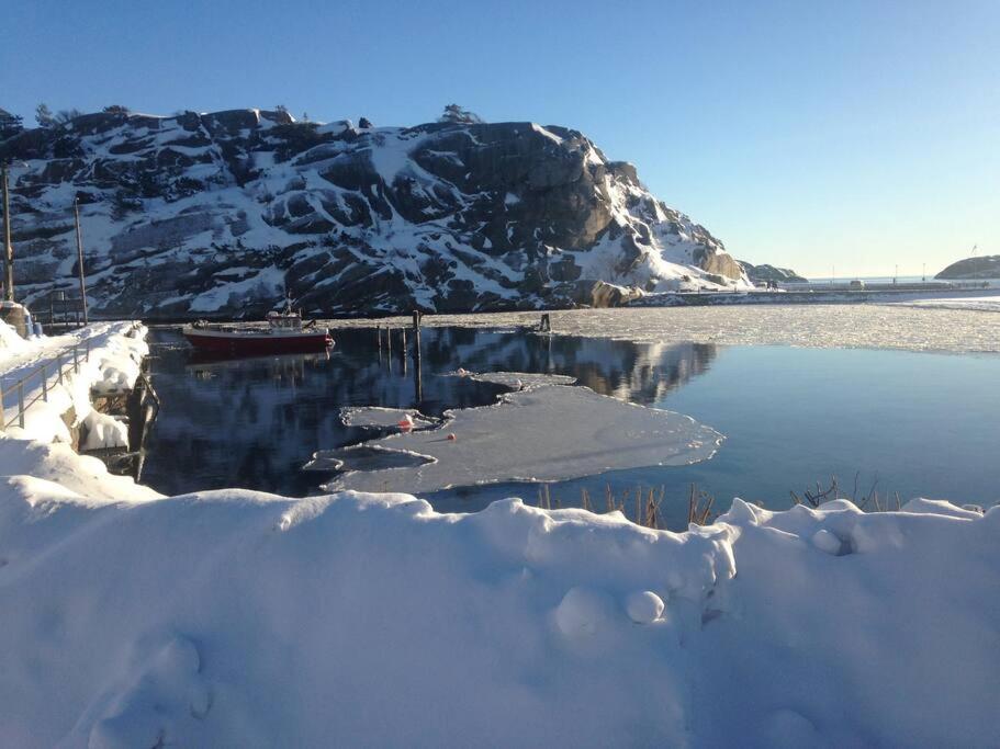 Tjodalyng - Ved Viksfjord - Sokkelleilighet Larvik Exterior photo